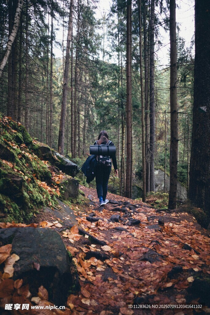 森林中徒步的背包旅行者