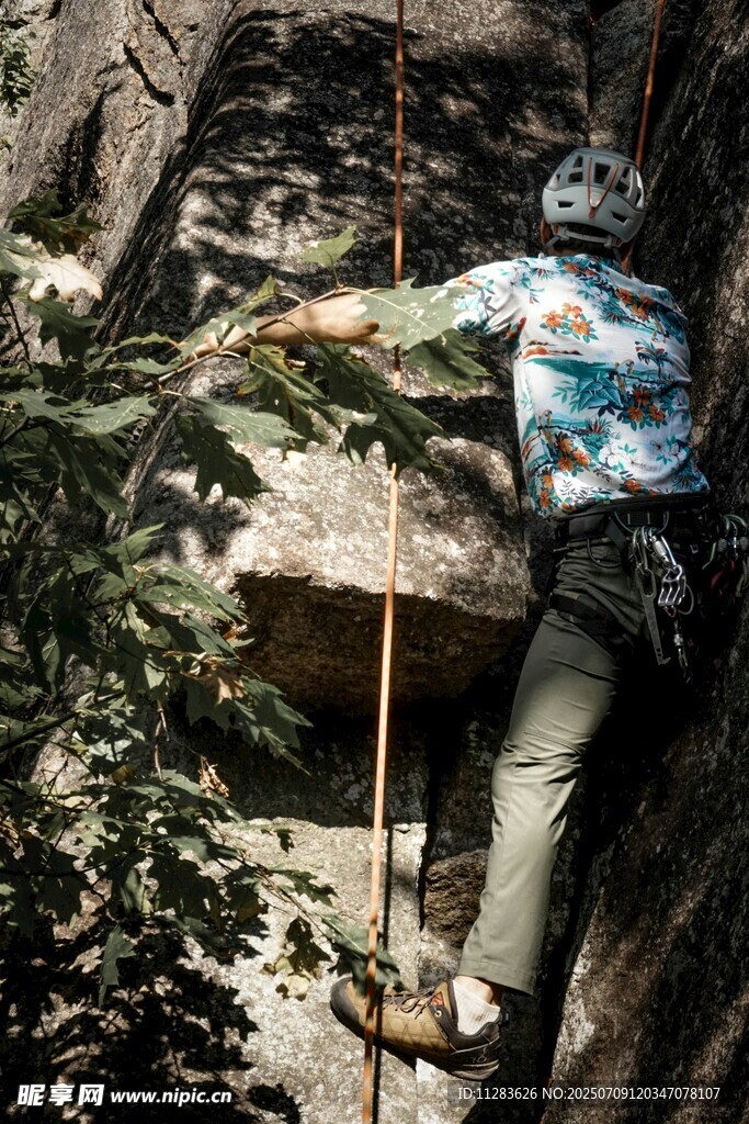 男子攀岩专注身姿