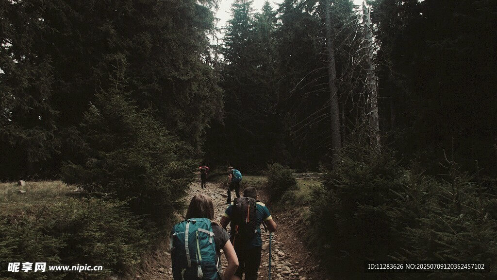 森林中徒步的背包客