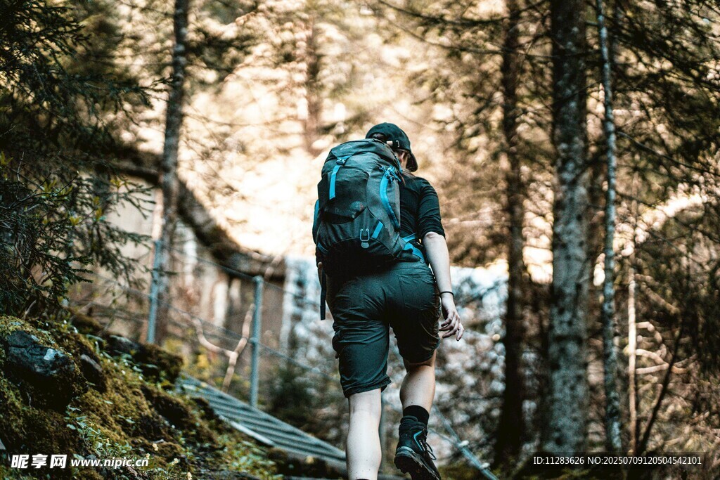 徒步者穿行于林间小道