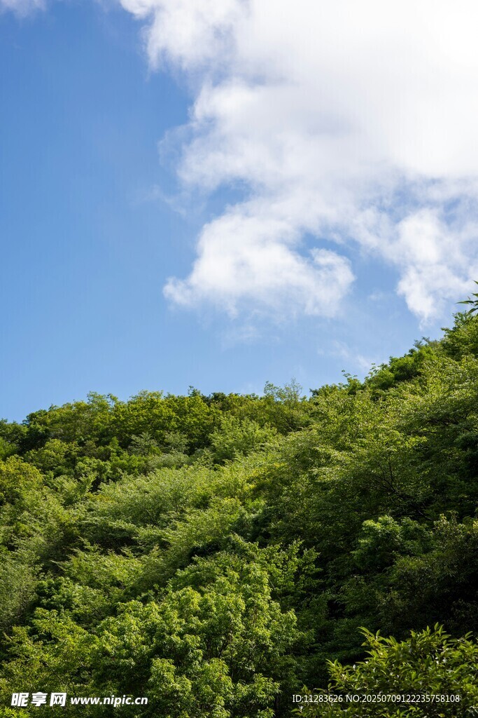山坡白云