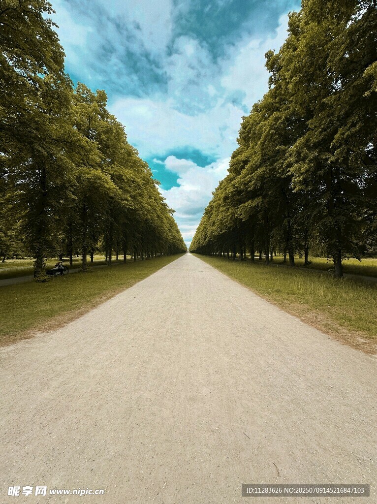林荫大道