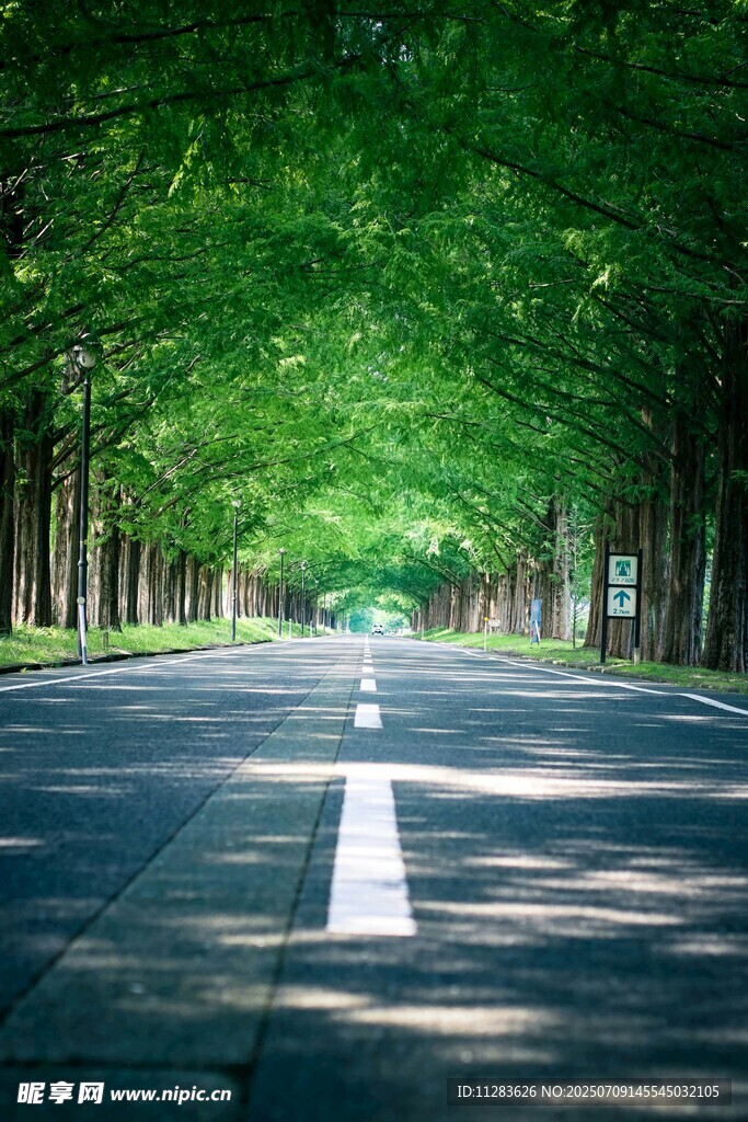 林荫大道