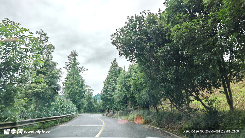 林间公路