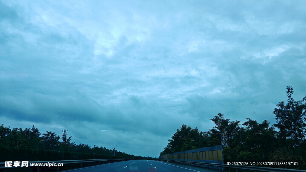 公路上的阴沉天空与树林