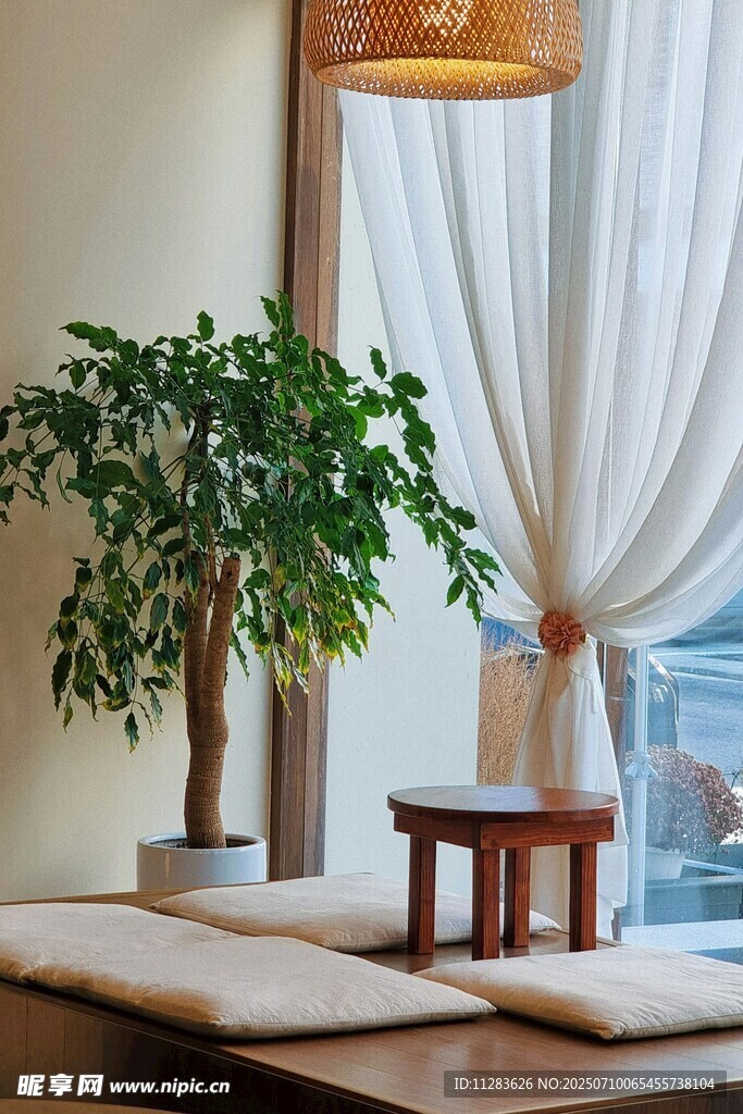 室内绿植与简约家具布置