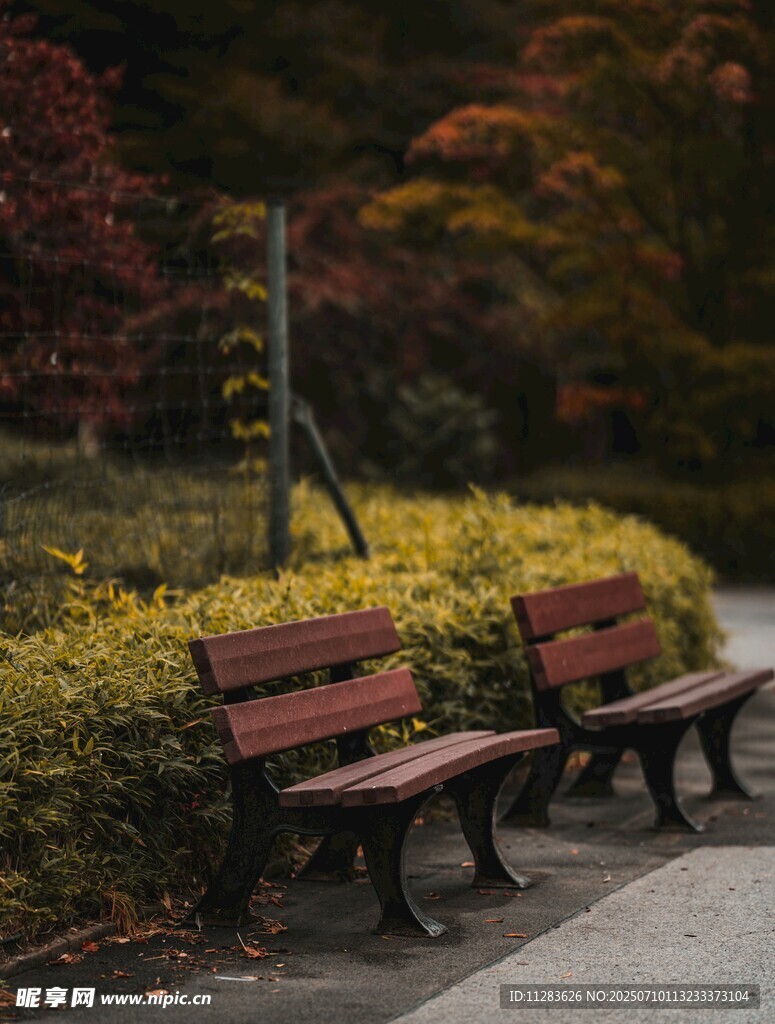 公园长椅旁的秋日景致