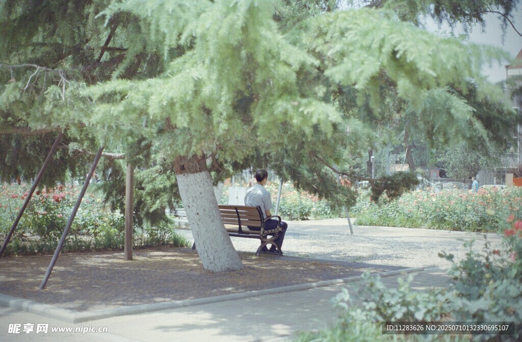 绿荫下的长椅休憩场景