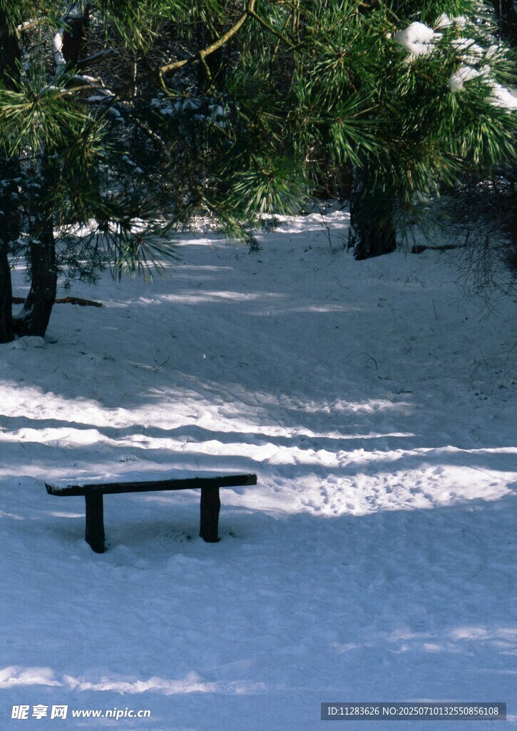 雪覆长椅