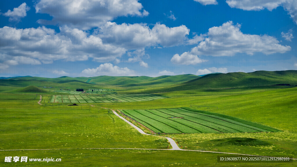 广袤绿野间的田园风光