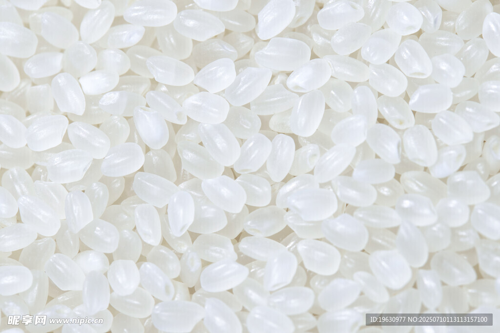 优质大米颗粒饱满