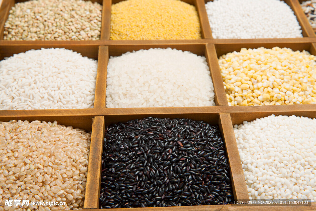 谷物粮食展示