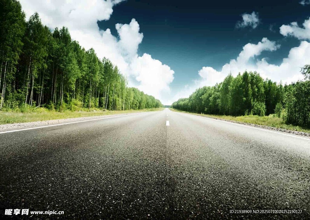 宽阔公路通向葱郁森林