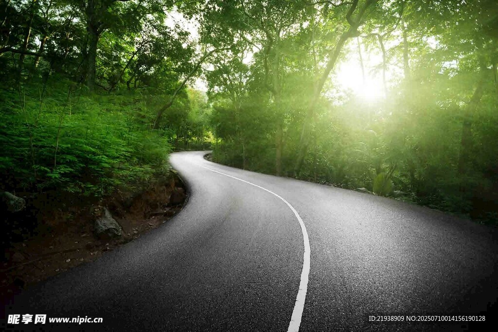 林间阳光照耀的蜿蜒公路
