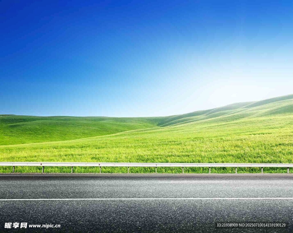 宽阔公路旁的翠绿原野