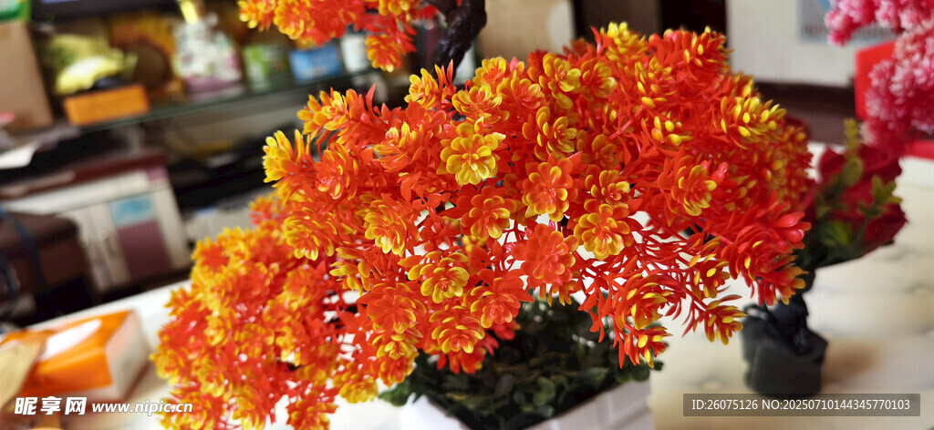 仿真鲜艳橙花盆栽展示