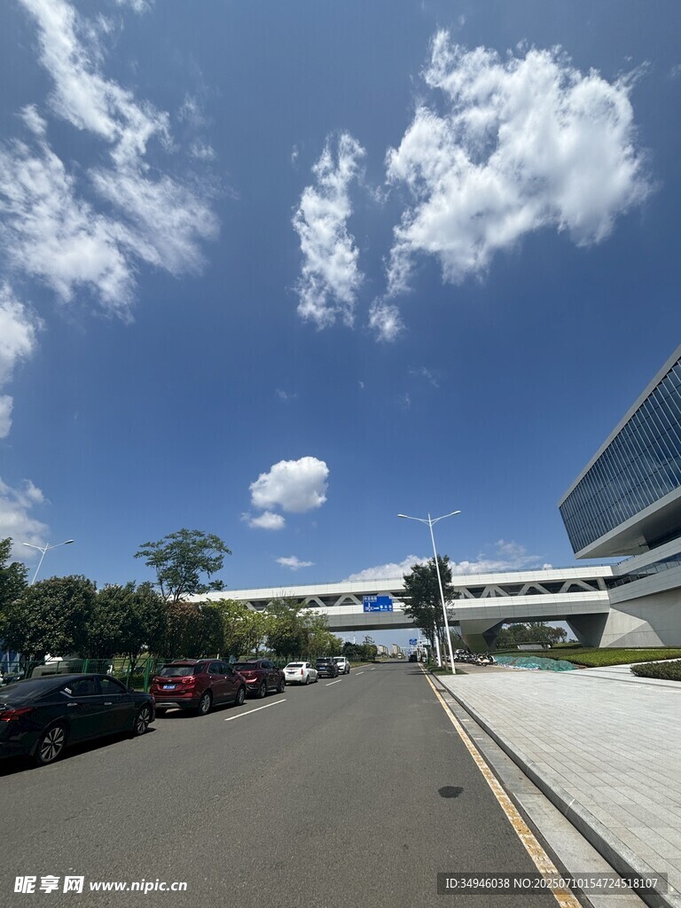 城市道路旁的现代建筑景观