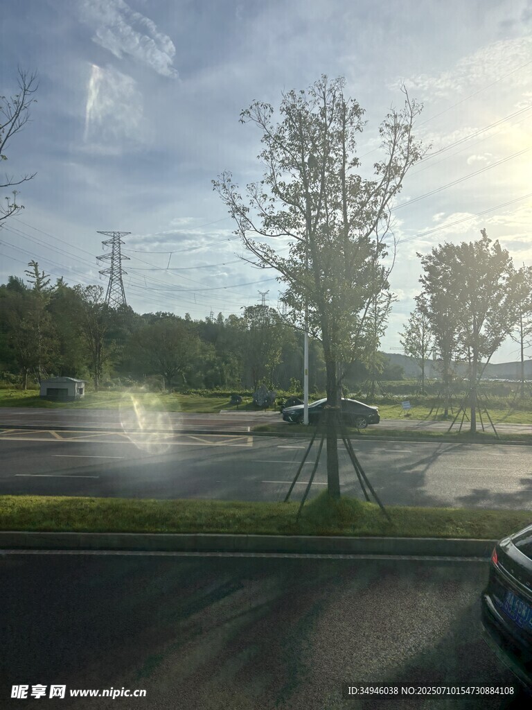 户外道路旁的树木与风景