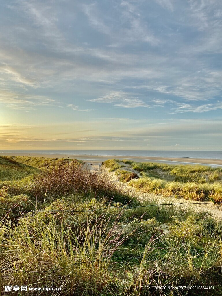 海边草地美景