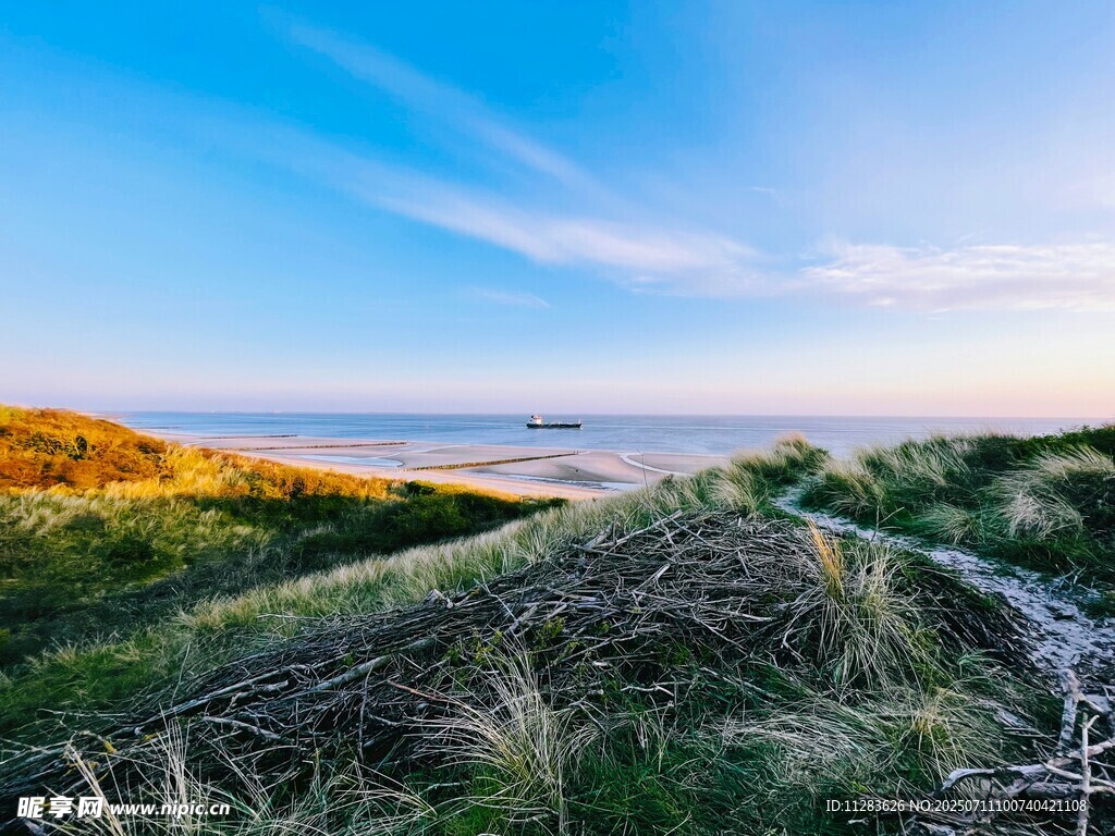 海边草地的美丽风光
