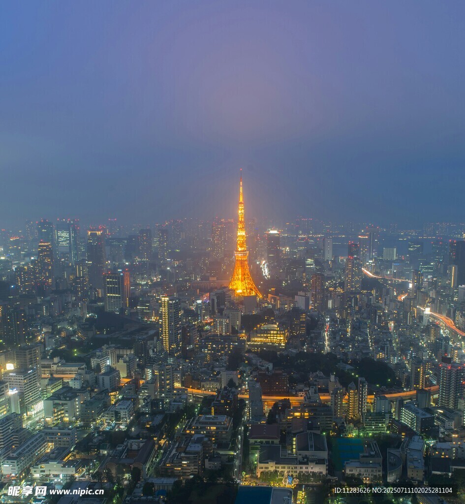 东京夜景中的璀璨塔尖