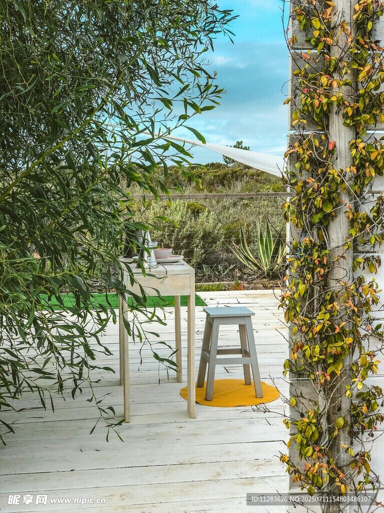 户外自然中的简约休闲场景