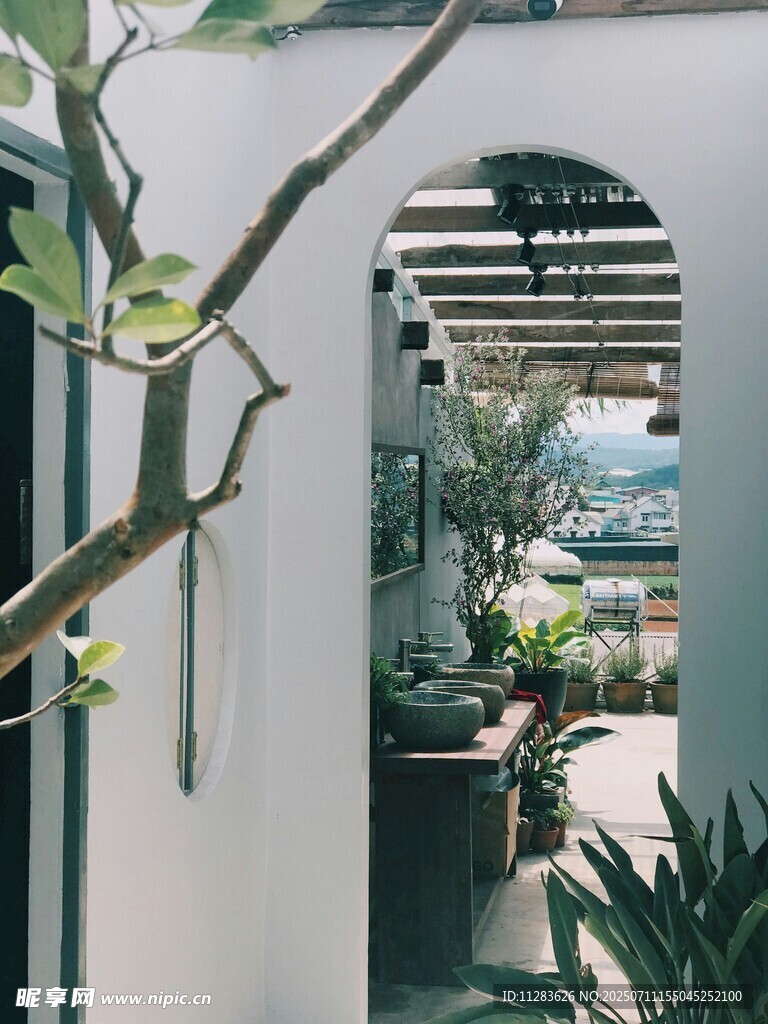 庭院绿植景观一角