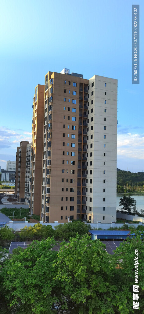 城市高楼与绿植景观