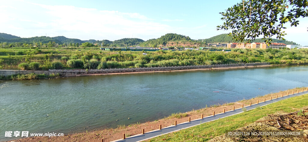 田园河畔风光