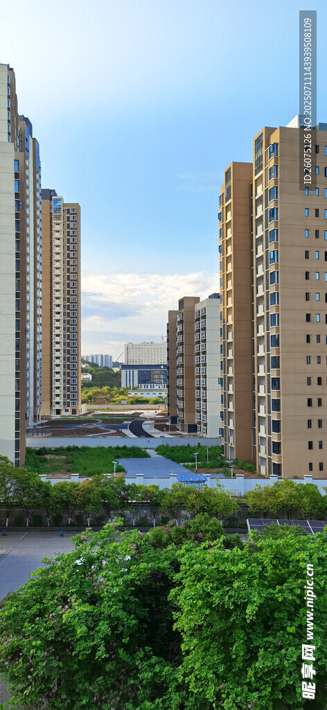 城市高楼与绿植景观