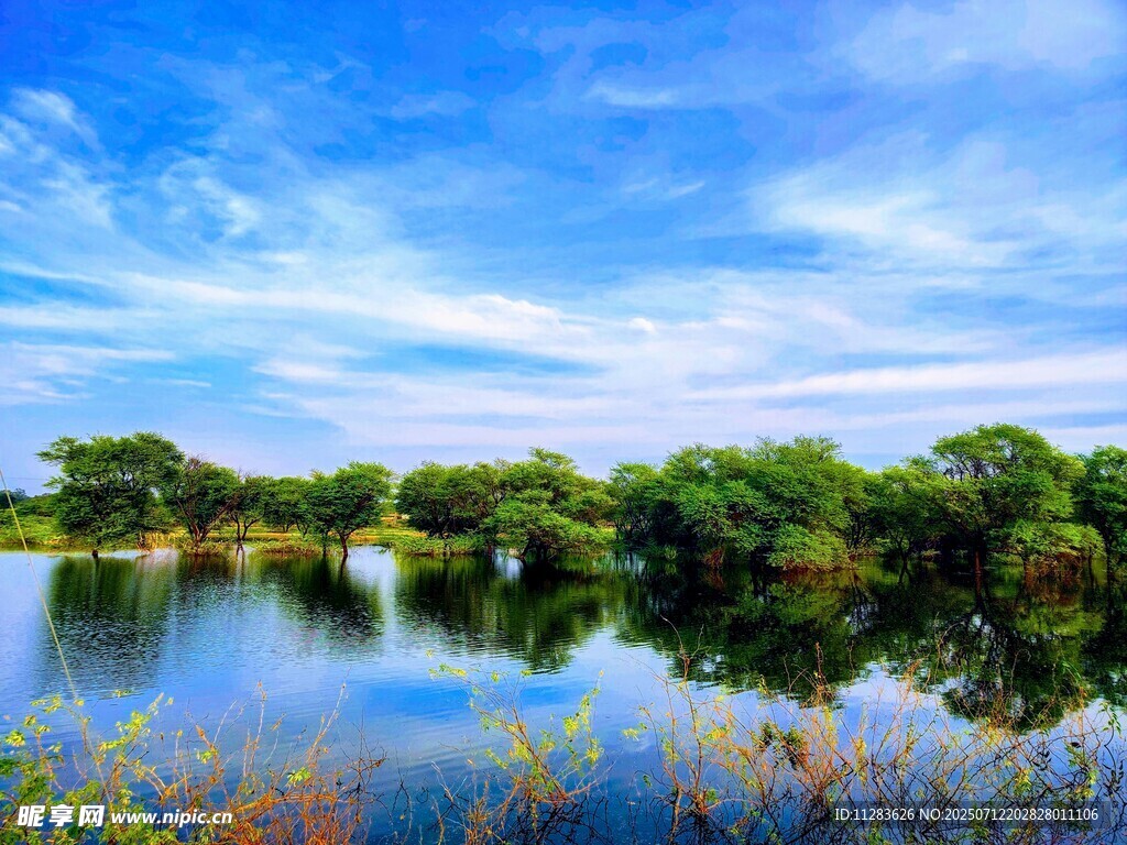 宁静湖畔风光