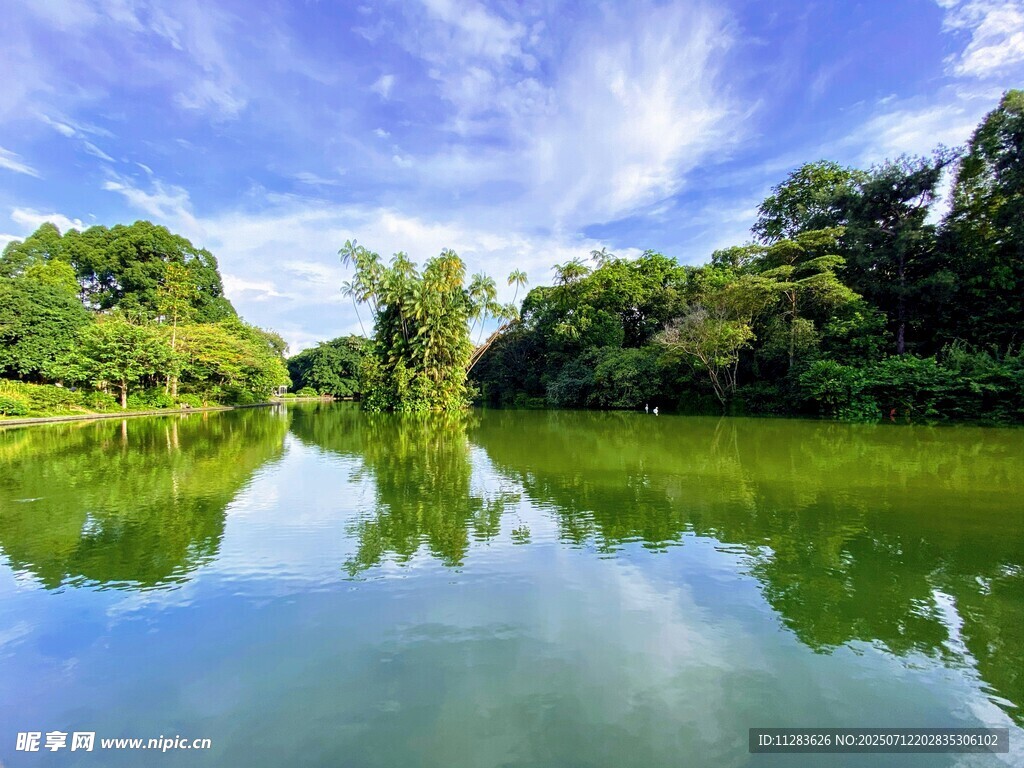 宁静湖畔绿意浓