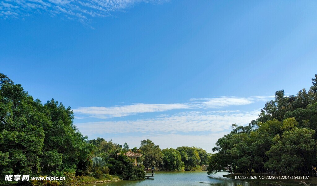 河畔葱郁树林与蓝天美景