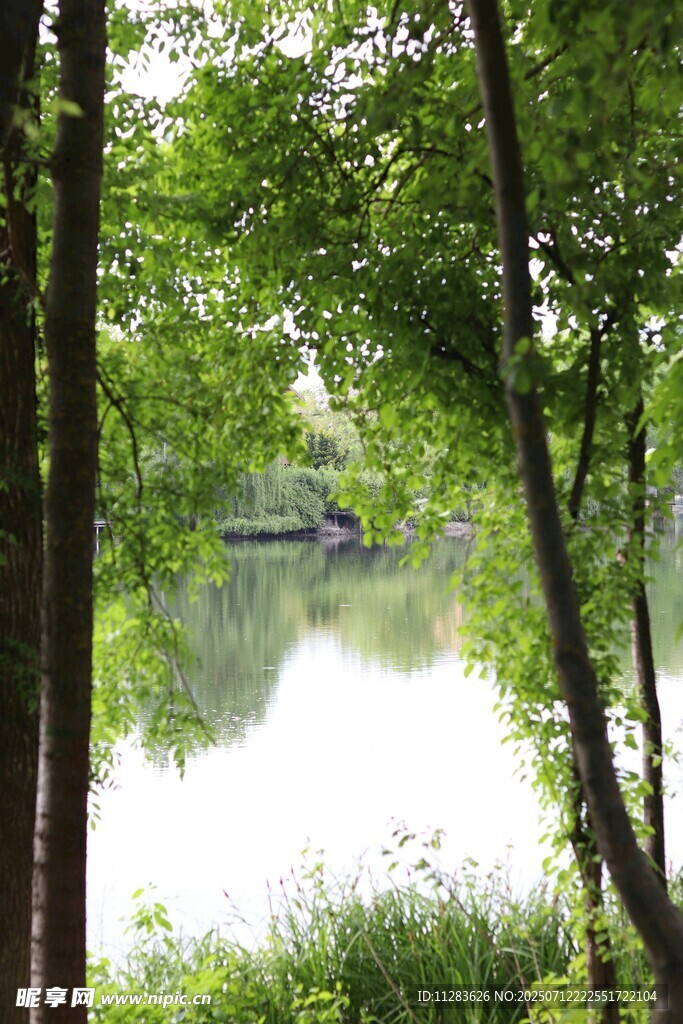 林间湖畔美景