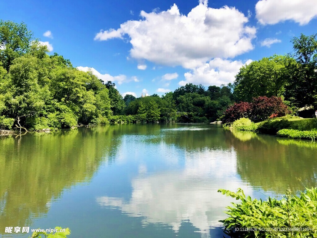 湖畔绿意盎然的自然美景