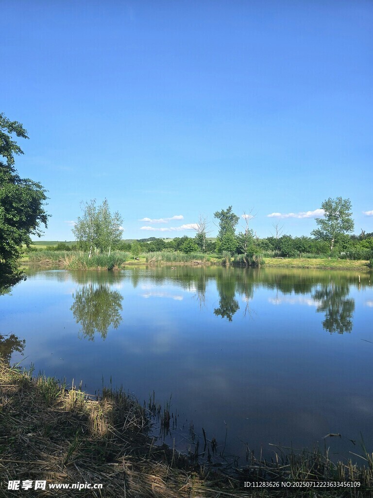 宁静湖畔风光