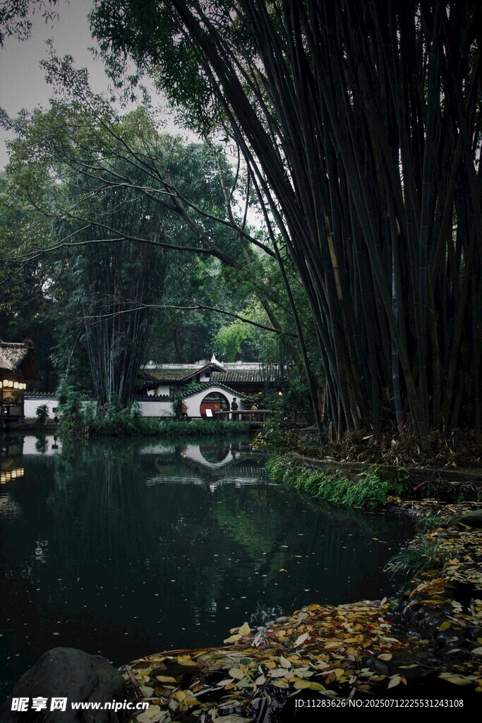 竹林环绕的静谧水边景致