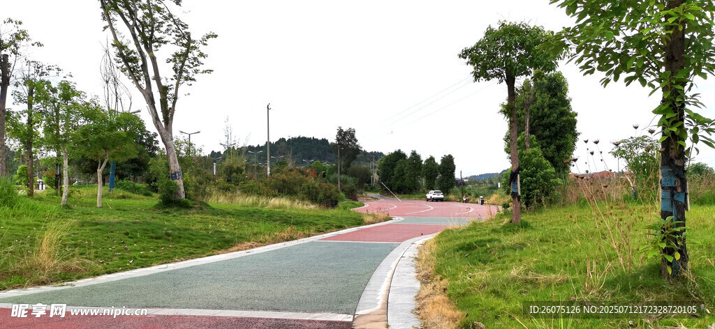 彩色道路旁的绿意风景