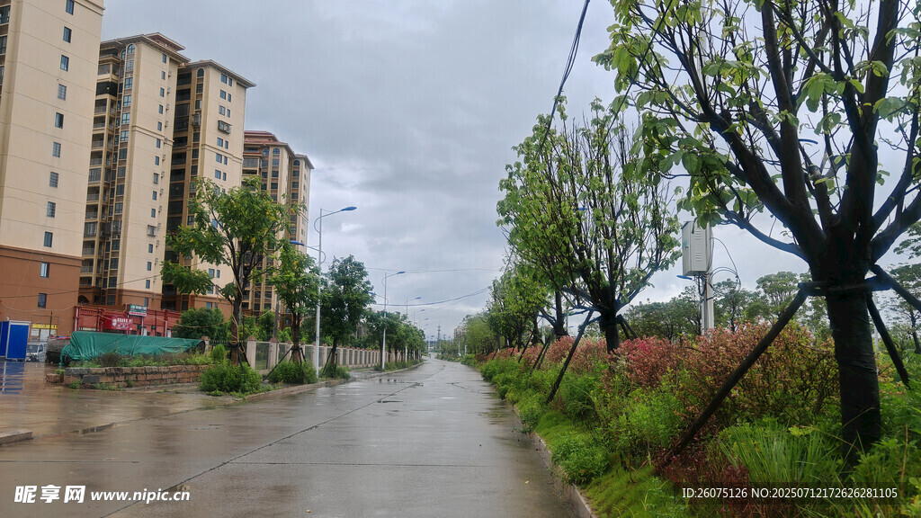 雨后城郊道路与绿植景观