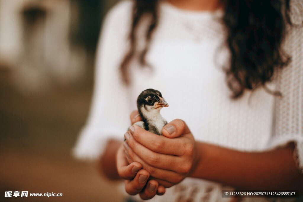 手捧小鸟的温馨瞬间