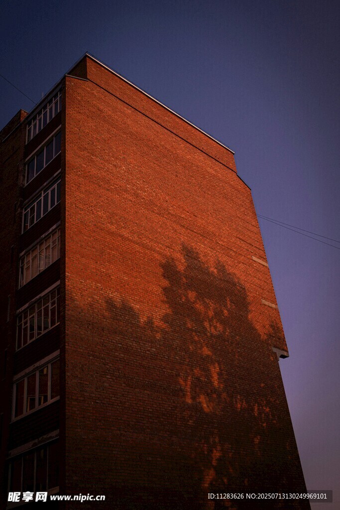 夕阳下建筑与树影的景象