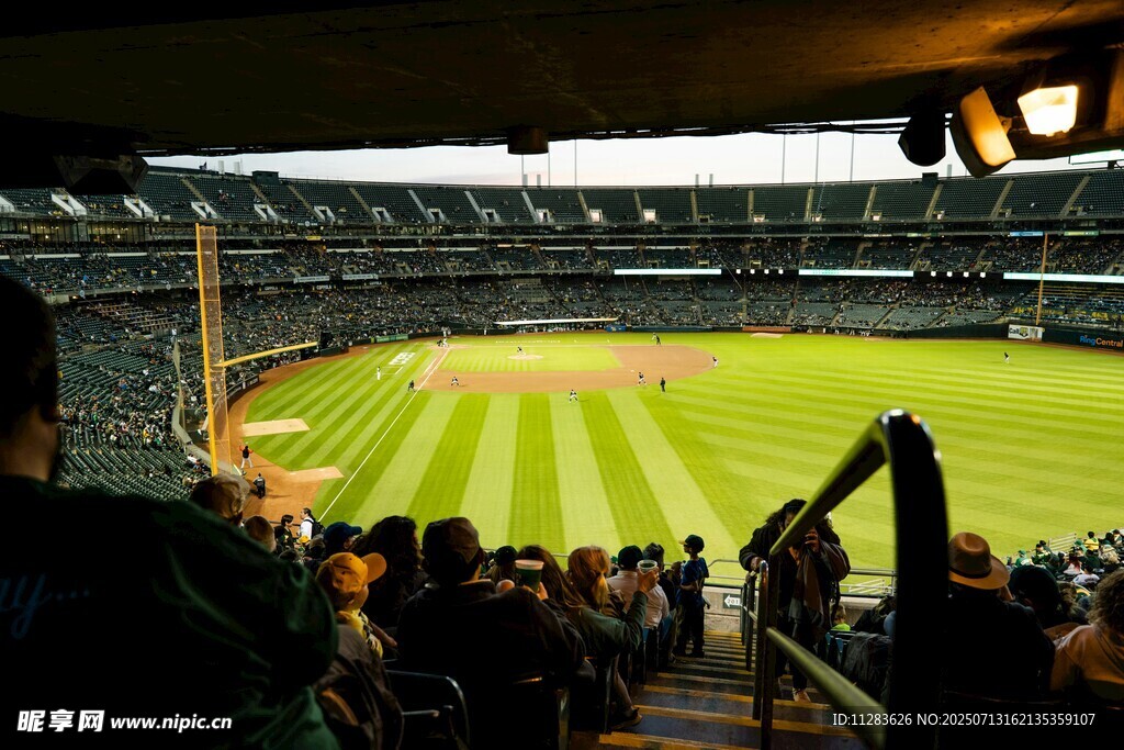 棒球场内观众观赛场景