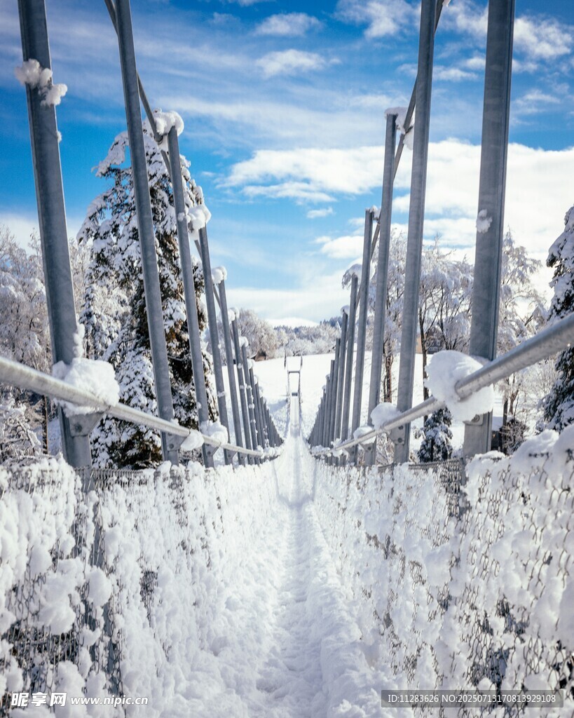 雪覆电力设施
