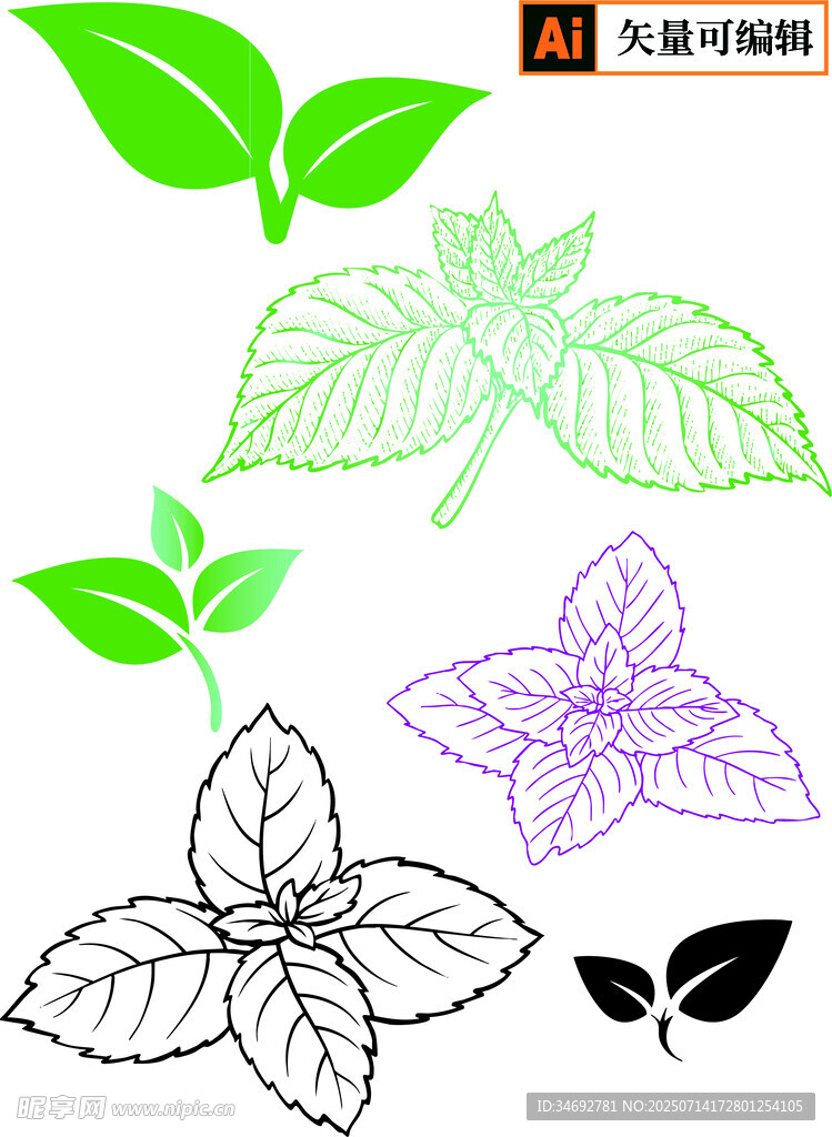 多样叶片矢量素材图
