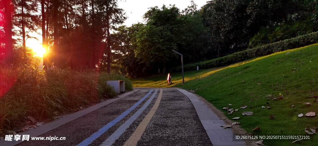 夕阳下的林间步道