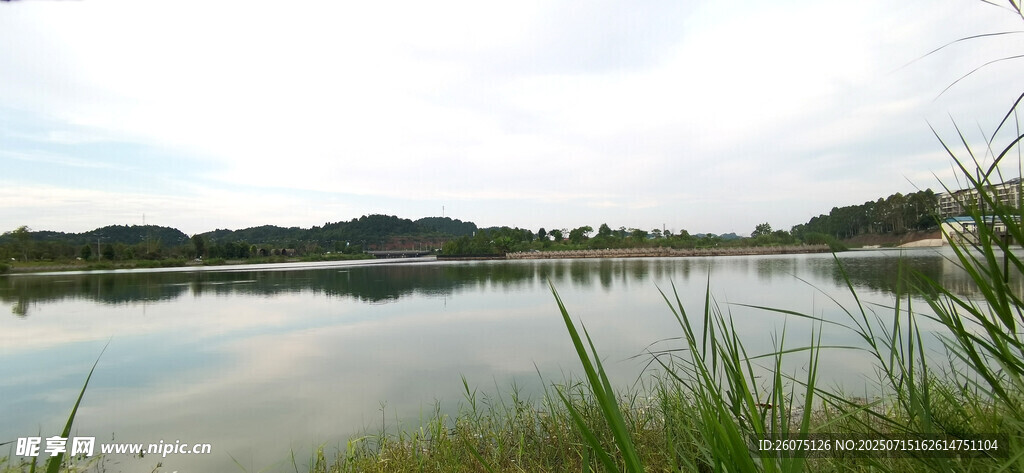 宁静湖畔风光 