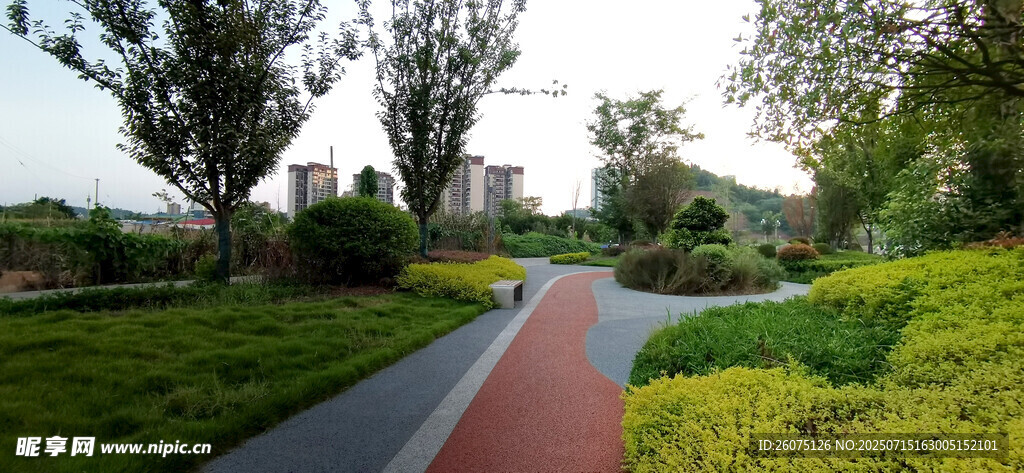 城市公园里的美丽彩色步道