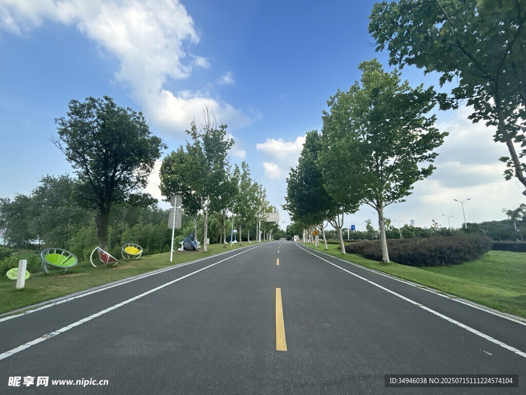 宽阔公路旁绿树成荫