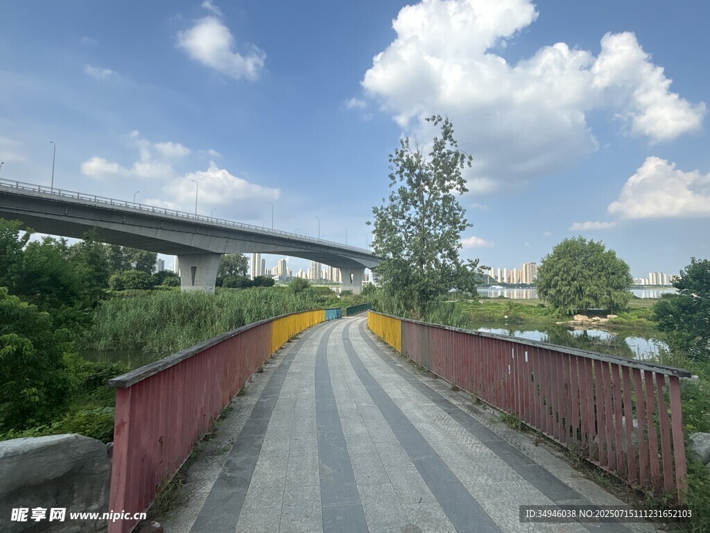 乡村公路与高架桥景观