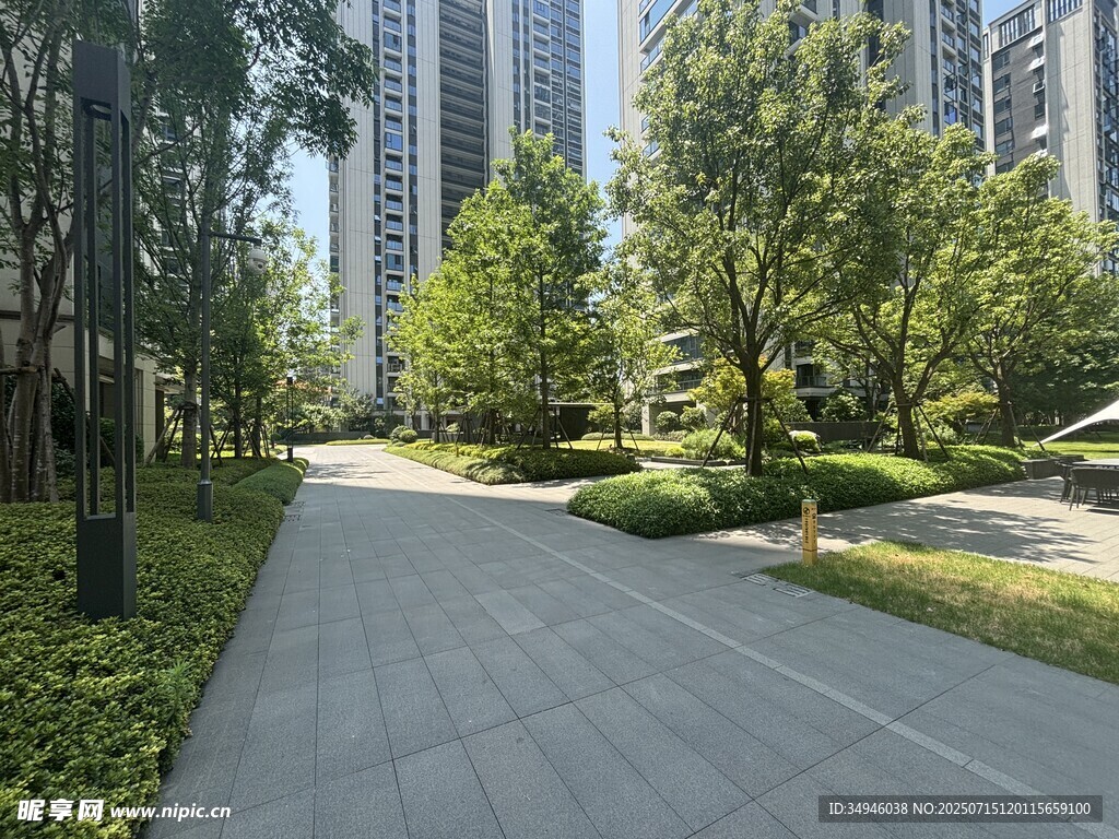 城市林荫步道景观